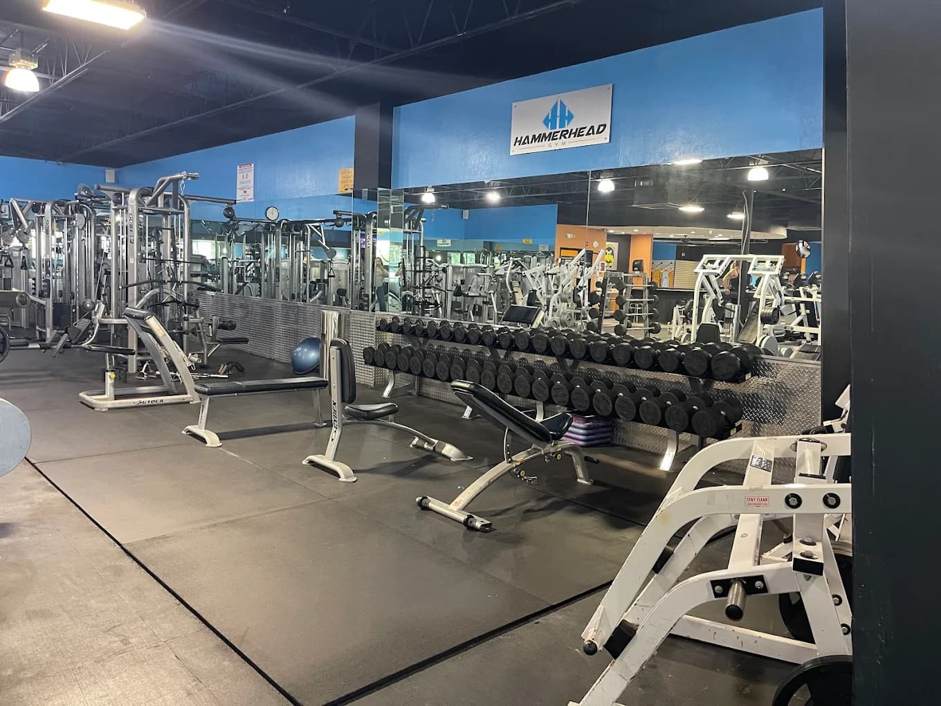Hammerhead Gym free-weight floor — dumbbell racks and benches under the branded wall.